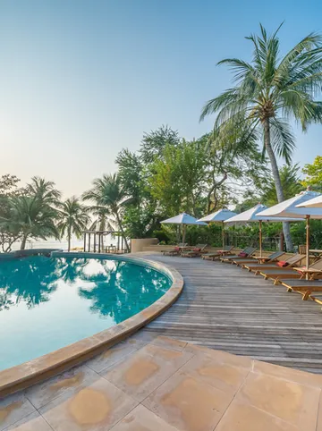 รูปภาพของปารดี