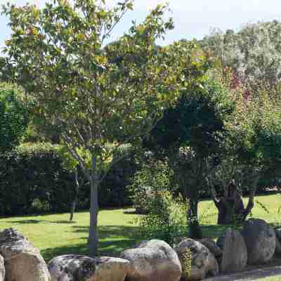 Les Jardins De Santa Giulia - Charmante chambre dhte 2 Hotel Exterior