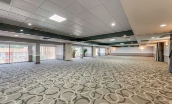 a large , empty conference room with gray carpeting and white walls , featuring multiple rows of windows at Quality Inn & Suites Conference Center