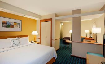 Fairfield Inn & Suites Detroit Metro Airport Romulus