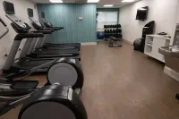 Holiday Inn Express & Suites MANASSAS by IHG - Gym