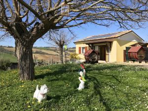 Chalet in the Splendid Marche Hills Just a Few Minutes from the Beach