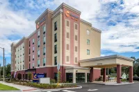 Comfort Suites Gainesville Near University Hotels in Gainesville