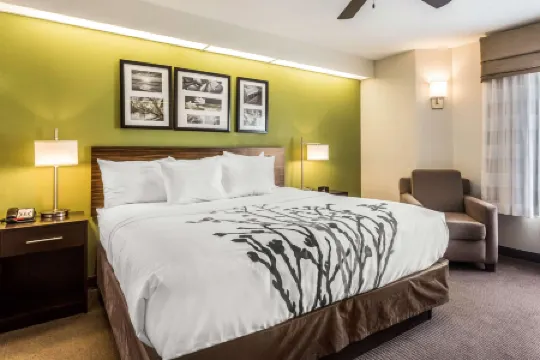 查爾斯頓西阿什利舒眠酒店