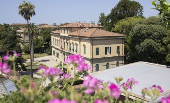 B&B 7 Rooms - Housity