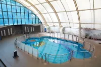 Summer Plaza Resort Hotels in Khingar