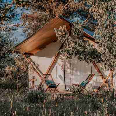 Salterra Glamping Hotel Exterior