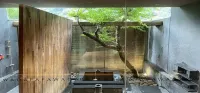 Onsen Papawaqa - balcón