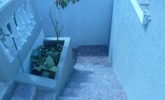 a small courtyard with a potted plant , a bench , and a blue wall on a brick walkway at Hotel El Castillo