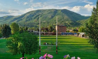 Mountain Chalet Aspen