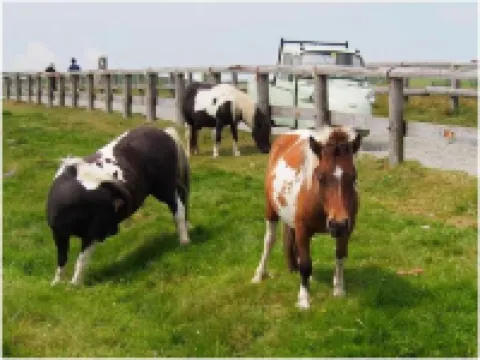 Utsukushigahara Kogen Hotel Yamamoto Goya