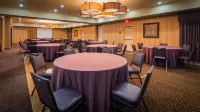 Best Western Plus Christopher Inn  Suites