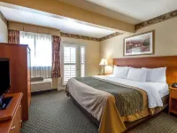 Comfort Inn & Suites Ukiah Mendocino County Hotels in Ukiah