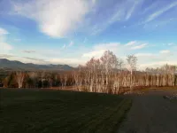 Les Trois Mentors : Ghandi, Mandela, Luther King