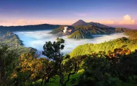 TENGGER HOMESTAY Bromo Hotel a Tosari