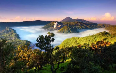 TENGGER HOMESTAY Bromo Отели в г. Tosari