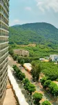 Denis公寓（雲青路分店）