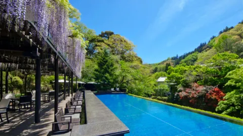 Izu Peninsula Travel Guide 2026: Top Attractions, Things to do