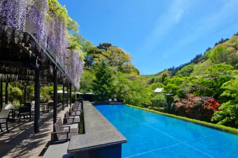 伊豆東府屋水療度假村