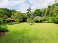 Hoengseong Gallery Birch Forest Hotels near Wonju Airport