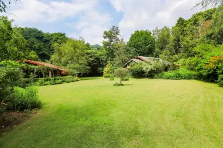 Hoengseong Gallery Birch Forest Отели в г. Хвенсон