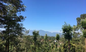 a beautiful view of a mountainous landscape with trees and clear skies , taken from a vantage point in the foreground at Lazy Days