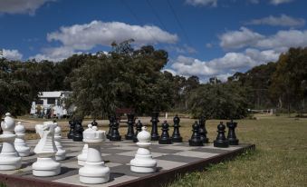 a large chess board set up in a grassy field , with numerous pieces of chess arranged neatly on the board at Inglewood Motel and Caravan Park Victoria