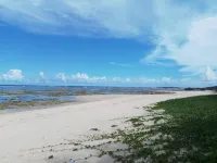 Cabochon Camp