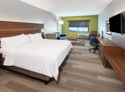 Holiday Inn Express & Suites DALHART by IHG