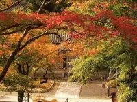 Kanko Ryokan Yamatoya Hotels in Sakurai