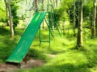 Deep Jungle Home Hotels in The Nilgiris