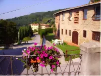 Fattoria Gambaro di Petrognano - Mountain view
