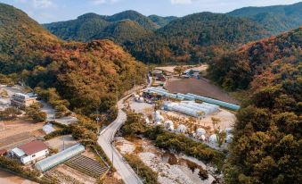 Yangpyeong Eco Igloo Glamping (Tropical Botanical Garden)