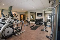 Staybridge Suites WISCONSIN DELLS - LAKE DELTON by IHG - gimnasio