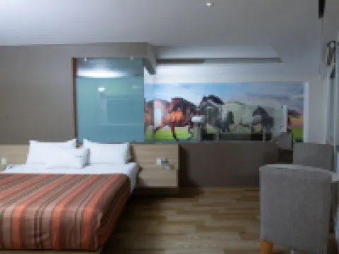 Hotel Xcoco Inn Hoteles en Texcoco