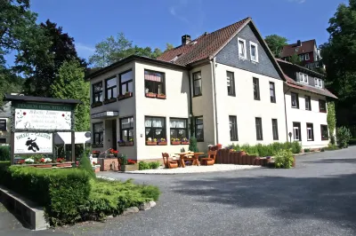 Beautiful Holiday Flat in the Harz Mountains