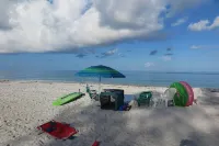 Beachfront 2/1 - Newly Remodeled. Step out the door onto the sand.  Amazing! - D