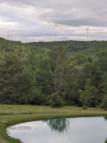 Located in the Finger Lakes a cabin in the country w/ trails & fishing