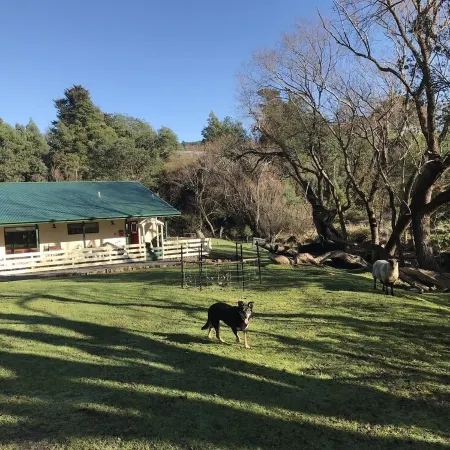 Kymmik Cottage - A slice of Tasmanian paradise