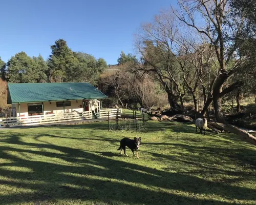Kymmik Cottage - A slice of Tasmanian paradise Hotels in Geeveston