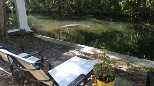 Tranquil  Waterfront  Cottage.  1 Bedroom, 1 Bathroom. Sleeps 2