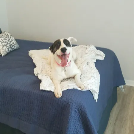 1ST STREET RETREAT UPDATED DOG FRIENDLY APARTMENT WITH FENCED IN YARD!!