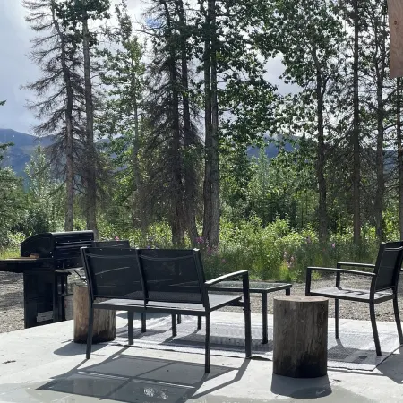 Modern Rustic Cabin with Denali View