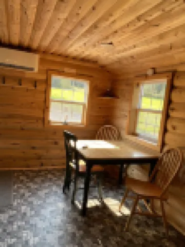 Cozy Little Cabin sleeps 4