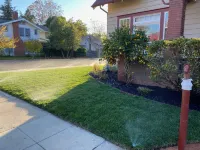 Beautiful & Large Garden Level Studio Hotel in zona John Chambers Technology Center