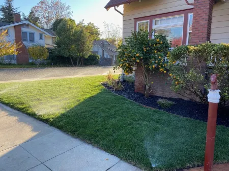 Beautiful & Large Garden Level Studio