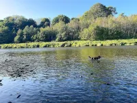 The Stables Cottage Hotels in Melrose