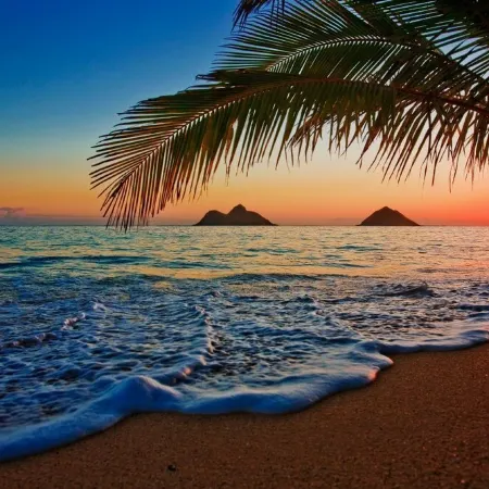 Island Breeze Oasis - Newly Furnished