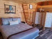 Hoot Owl Cabins -Incredible Lakefront Cabin PLUS a 2nd Tiny Home