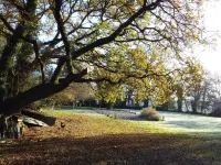 Beautiful quiet longère, near forests and ocean Hotel a Morbihan